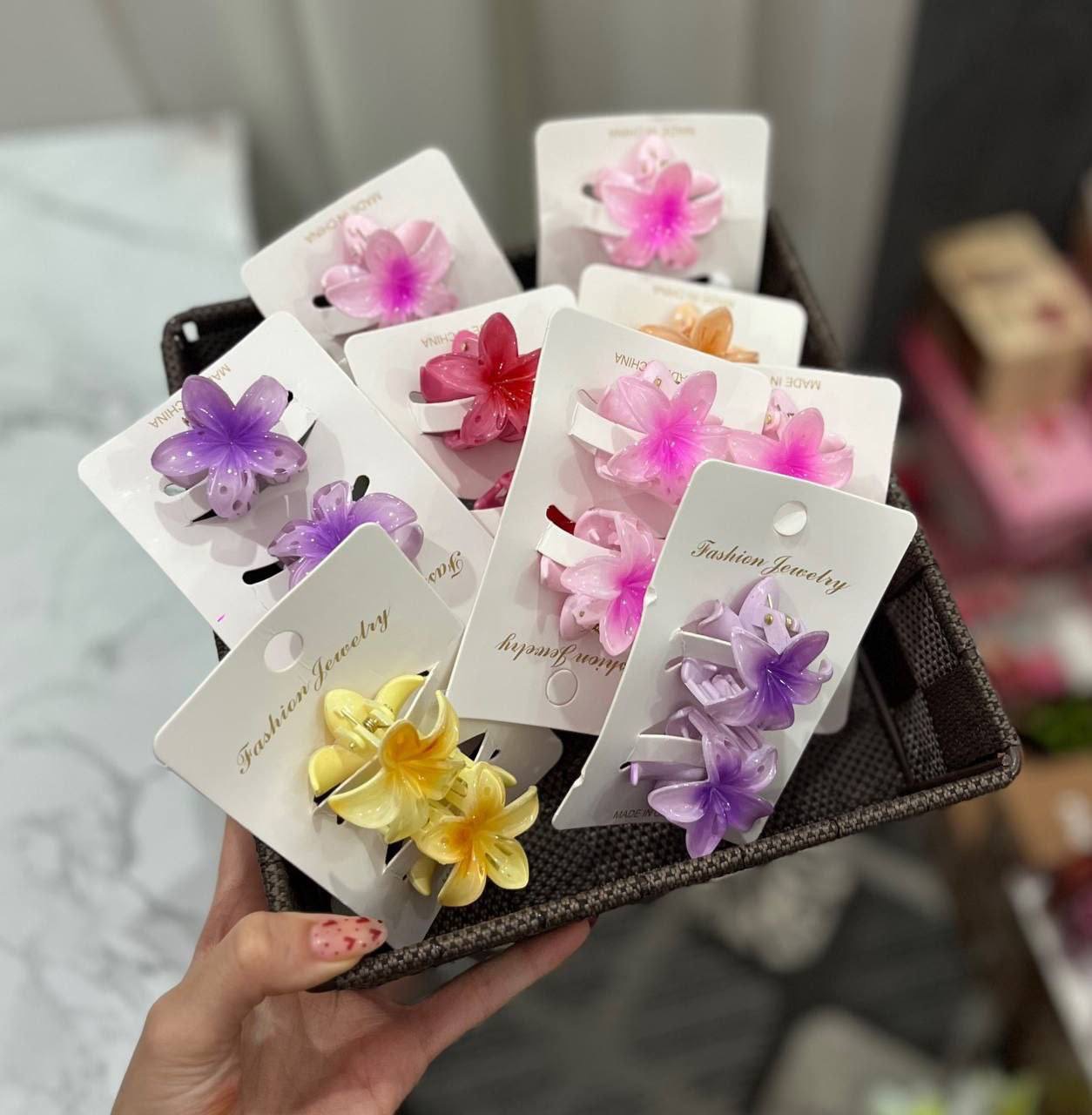 پلومریا مینی🌸 ‌